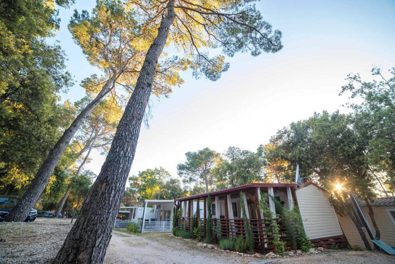 Mobile Home Cube, 3 Bedrooms, Free Parking, Wifi Biograd na Moru Kültér fotó